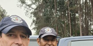 Coruja com asa fraturada é resgatada pelo GAPA da GCM de Vinhedo