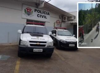 Polícia Civil de Jarinu conclui investigação sobre motociclista que matou cachorro em manobra perigosa