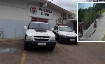 Polícia Civil de Jarinu conclui investigação sobre motociclista que matou cachorro em manobra perigosa