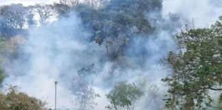 Bombeiros combatem dois incêndios em vegetação em Campo Limpo Paulista