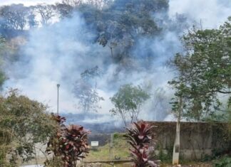 Bombeiros combatem dois incêndios em vegetação em Campo Limpo Paulista
