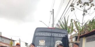 K9 Cali, da Guarda Municipal de Jundiaí, conquista certificação e entra para grupo de elite em busca e resgate de pessoas