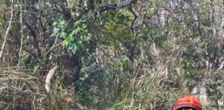 Bombeiros combatem incêndio em vegetação no Jardim Califórnia