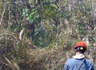 Bombeiros combatem incêndio em vegetação no Jardim Califórnia
