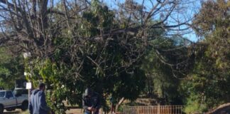 Instalação de grades de proteção garante mais segurança em ponte na Rua Rio Tejipió