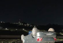 Acidente com capotamento mobiliza autoridades no trevo de Louveira