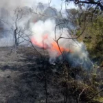 Defesa Civil de Campo Limpo Paulista intensifica ações e alerta sobre risco de queimadas