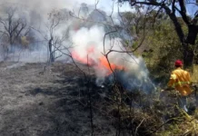 Defesa Civil de Campo Limpo Paulista intensifica ações e alerta sobre risco de queimadas
