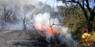 Defesa Civil de Campo Limpo Paulista intensifica ações e alerta sobre risco de queimadas
