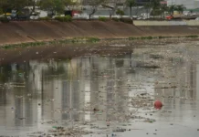 Governo de SP projeta rios Tietê e Pinheiros próprios para banho até 2029
