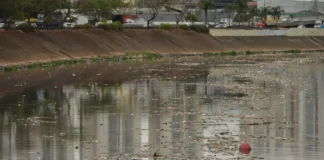 Governo de SP projeta rios Tietê e Pinheiros próprios para banho até 2029