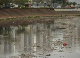 Governo de SP projeta rios Tietê e Pinheiros próprios para banho até 2029