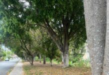 Guarda Municipal localiza motocicleta furtada em Campo Limpo Paulista