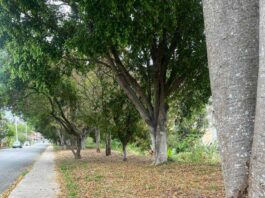 Guarda Municipal localiza motocicleta furtada em Campo Limpo Paulista