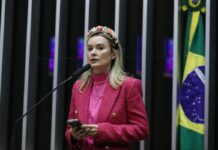 Júlia Zanatta (PL), apresenta projeto de lei para acabar com Imposto de Renda no Brasil