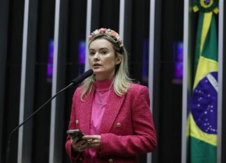 Júlia Zanatta (PL), apresenta projeto de lei para acabar com Imposto de Renda no Brasil