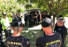 GCM de Itupeva realiza 17ª edição do Training Day Mantrailing com presença de equipes regionais