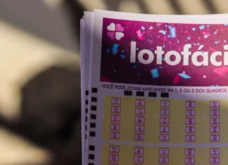 Lotofácil da Independência vai pagar R$ 220 milhões, maior valor da história