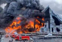 Tomorrowland Brasil 2026 é adiado após palco na Bélgica pegar fogo; edição deste ano está mantida