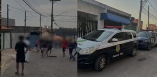 Operação Conjunta Desmantela Gangues em Escolas de Várzea Paulista